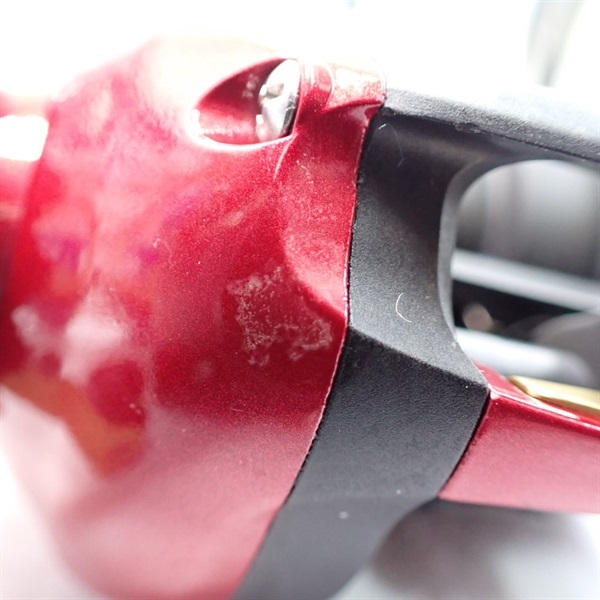 ０９ワカサギマチックＲ